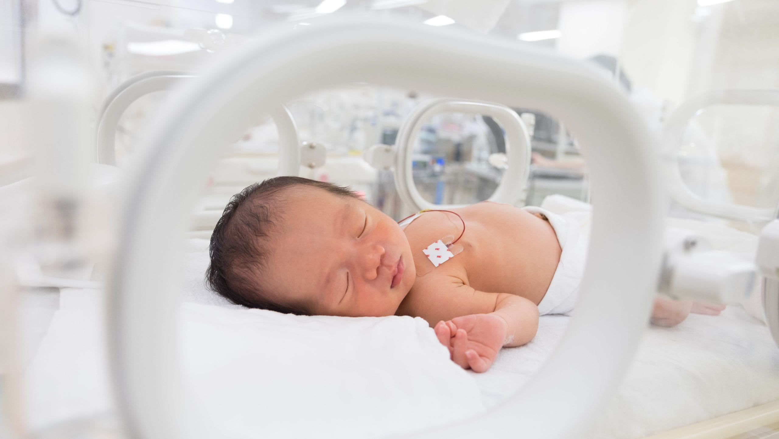 Statement on FDA Infant Formula Testing Results